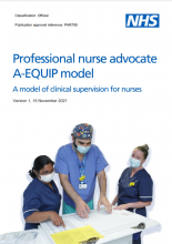 Professional nurse advocate A-EQUIP model: A model of clinical supervision for nurses